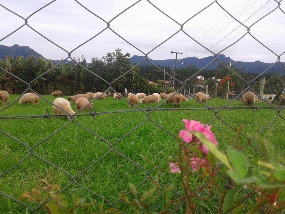 Casa Di Pecora - Pousada Rural Lauro Muller Ngoại thất bức ảnh
